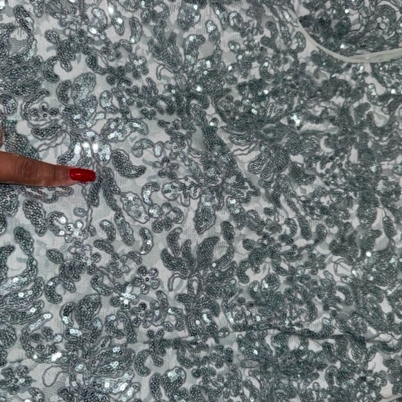 Alex Evenings Sleeveless Corded Fit Ice Sage Lace & Sequin-Detail Gown Sz 8 - Picture 16 of 16